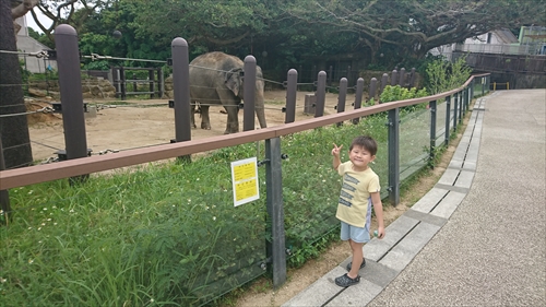 9日・次男と動物園デート！
